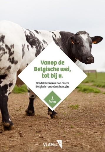 Rassenfiches Belgisch rundvlees Rassenfiches Belgisch rundvlees