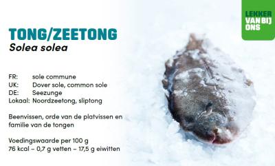 productfiche zeetong