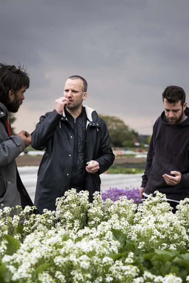 Op bezoek bij bioboerderijen in de buurt van Mechelen Op bezoek bij bioboerderijen in de buurt van Mechelen