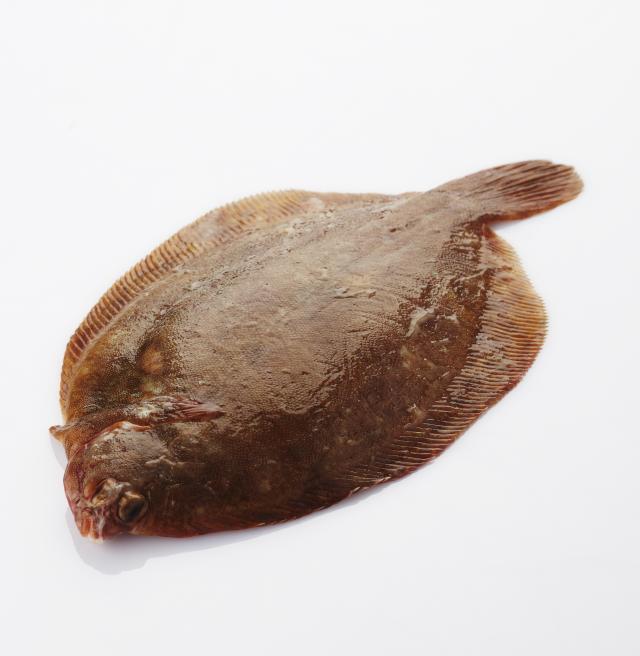 Tongschar Tongschar