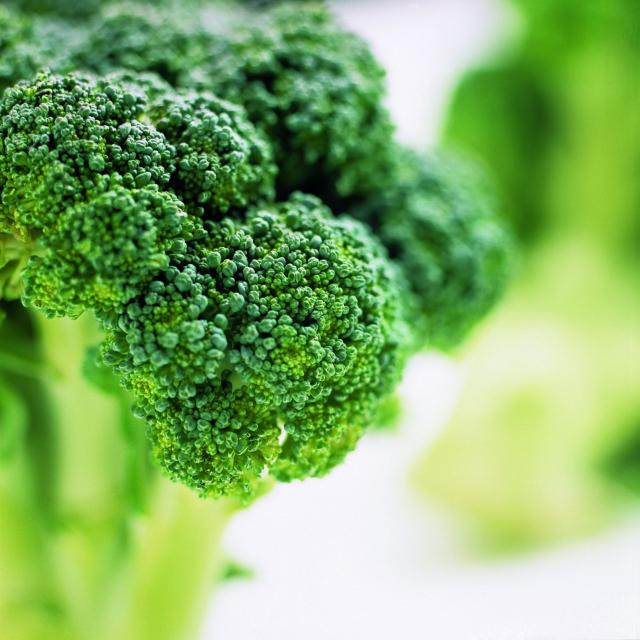 Brocolli Brocolli