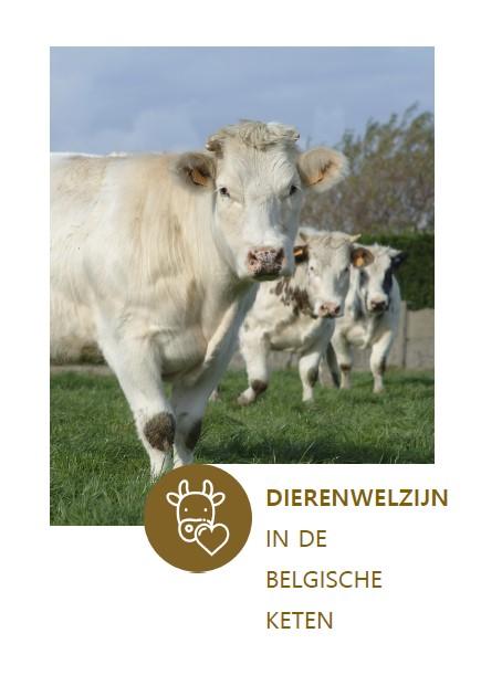 dierenwelezijn in de belgische keten