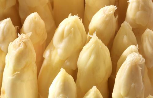 Asperges