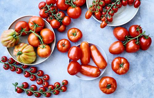 Groepsfoto tomaten