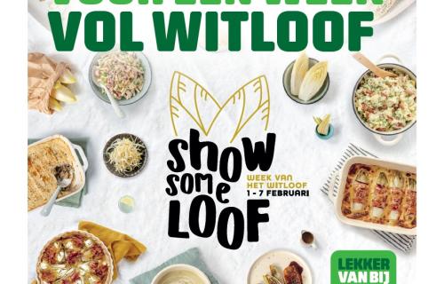 Cover receptenboekje witloof 2025