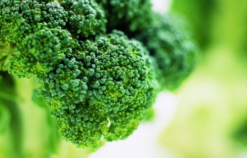 Brocolli