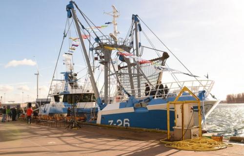 Nieuwe boot
