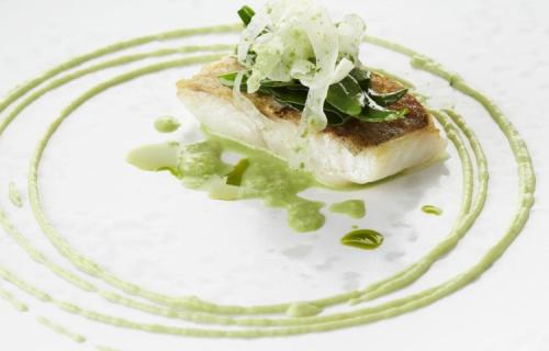 Schelvis met venkel, lamsoor en groene curry