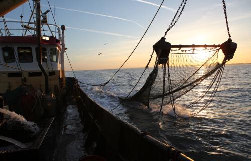 Vissersboot ©Jo Clauwaert