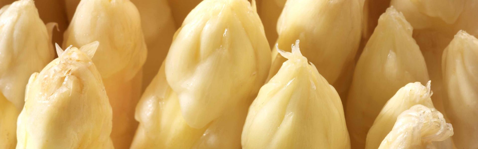 Asperges Asperges