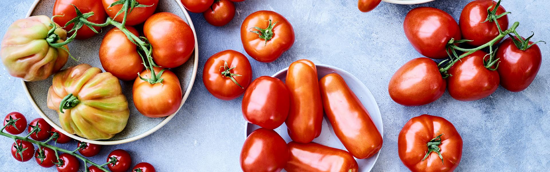 Groepsfoto tomaten