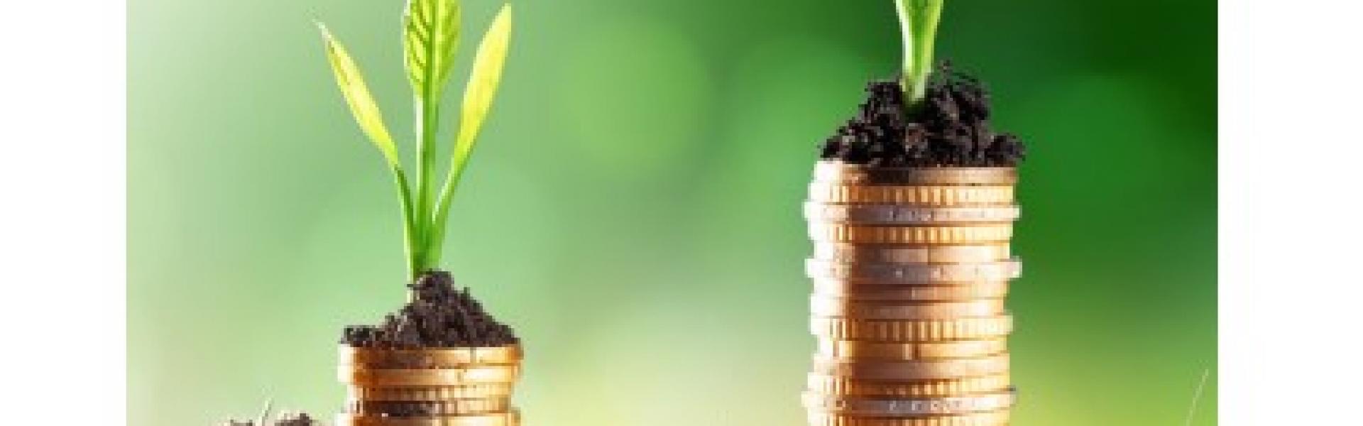 lokale economie. lokale economie.