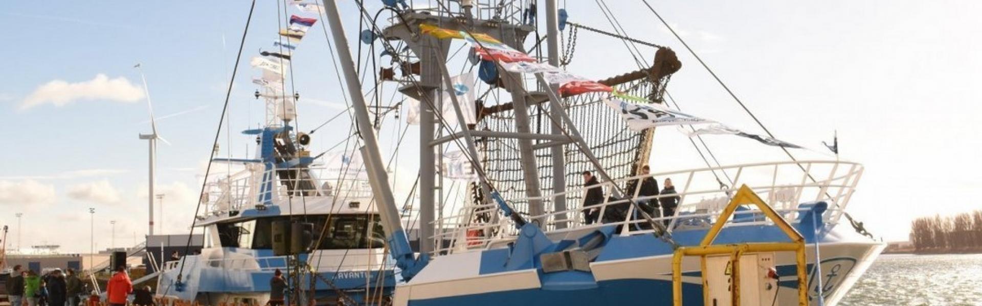 Nieuwe boot
