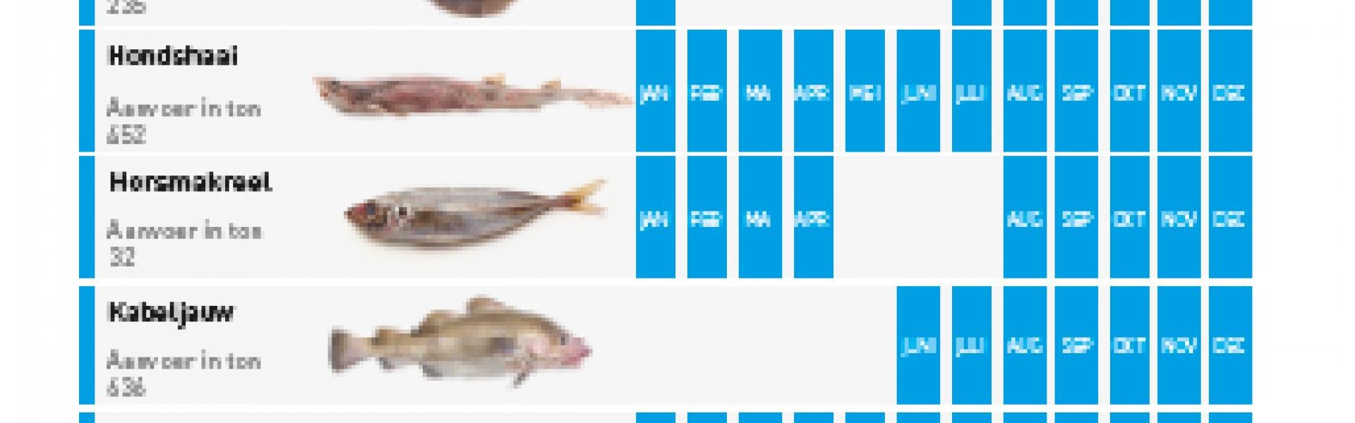 Viskalender